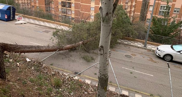 Galería fotográfica con las incidencias ocasionadas por el temporal de viento en Cuenca