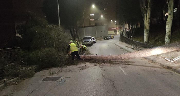 Galería fotográfica con las incidencias ocasionadas por el temporal de viento en Cuenca