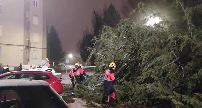 Galería fotográfica con las incidencias ocasionadas por el temporal de viento en Cuenca