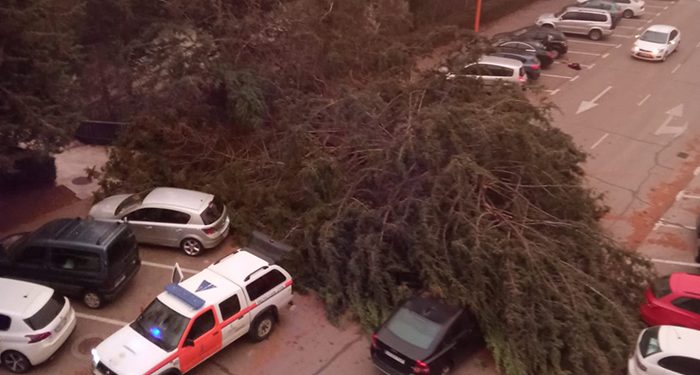 Galería fotográfica con las incidencias ocasionadas por el temporal de viento en Cuenca