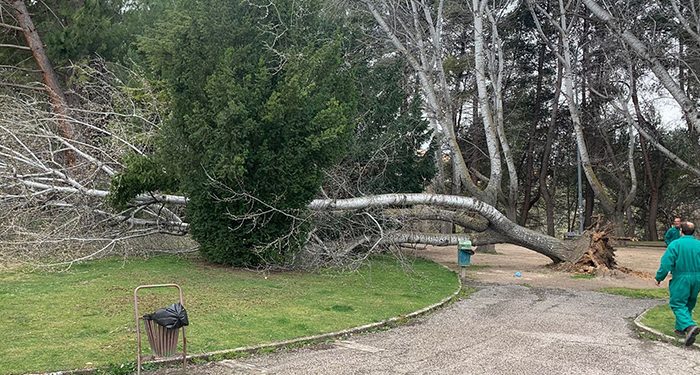 Galería fotográfica con las incidencias ocasionadas por el temporal de viento en Cuenca