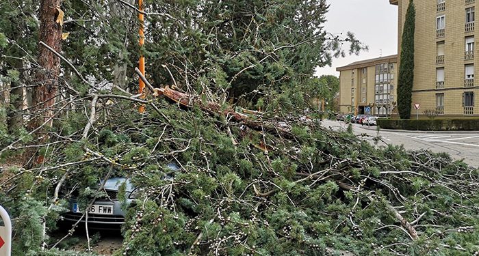 Galería fotográfica con las incidencias ocasionadas por el temporal de viento en Cuenca