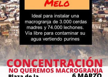 Barajas de Melo se moviliza este domingo contra una macrogranja de cerdos
