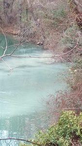 Ciudadanos Cuenca denuncia vertidos contaminantes en Vega del Codorno