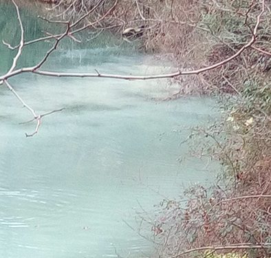 Ciudadanos Cuenca denuncia vertidos contaminantes en Vega del Codorno
