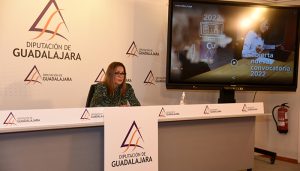 DipuEmplea pone en marcha los nuevos cursos online con el aval de la buena experiencia de años anteriores