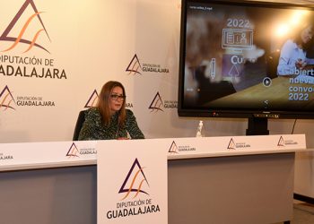 DipuEmplea pone en marcha los nuevos cursos online con el aval de la buena experiencia de años anteriores
