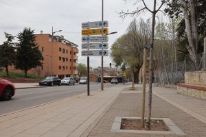 El Ayuntamiento de Guadalajara plantará este año unos 2.000 ejemplares nuevos entre árboles en alcorques vacíos de la ciudad, arbustiva y rosales