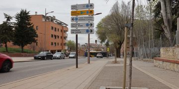 El Ayuntamiento de Guadalajara plantará este año unos 2.000 ejemplares nuevos entre árboles en alcorques vacíos de la ciudad, arbustiva y rosales