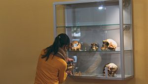 El CIPAT de Tamajón se completa con la inauguración de su nueva sala de Evolución Humana