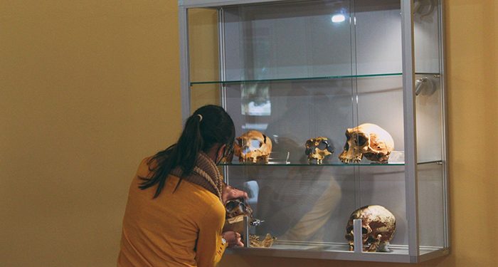 El CIPAT de Tamajón se completa con la inauguración de su nueva sala de Evolución Humana