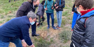 El Gobierno regional acomete la plantación de 250 especies arbóreas entre pinos, encinas y plantas aromáticas en el MUPA junto a colectivos educativos y sociales de Cuenca