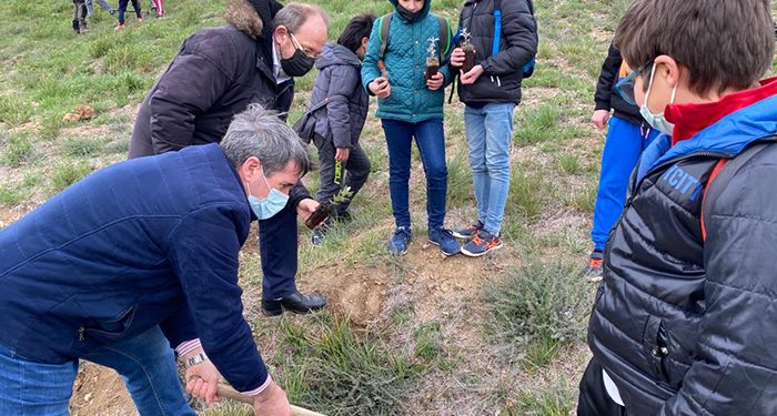 El Gobierno regional acomete la plantación de 250 especies arbóreas entre pinos, encinas y plantas aromáticas en el MUPA junto a colectivos educativos y sociales de Cuenca 1 El Gobierno regional acomete la plantación de 250 especies arbóreas entre pinos, encinas y plantas aromáticas en el MUPA junto a colectivos educativos y sociales de Cuenca