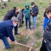 El Gobierno regional acomete la plantación de 250 especies arbóreas entre pinos, encinas y plantas aromáticas en el MUPA junto a colectivos educativos y sociales de Cuenca 3 El Gobierno regional acomete la plantación de 250 especies arbóreas entre pinos, encinas y plantas aromáticas en el MUPA junto a colectivos educativos y sociales de Cuenca