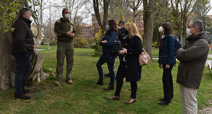 El Plan de Empleo del Gobierno regional ha permitido en esta convocatoria la contratación de 120 personas en la ciudad de Cuenca 1 El Plan de Empleo del Gobierno regional ha permitido en esta convocatoria la contratación de 120 personas en la ciudad de Cuenca