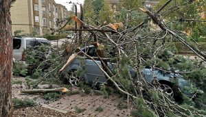El temporal de viento se intensifica y un árbol cae sobre un coche en la Fuente del Oro