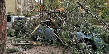 El temporal de viento se intensifica y un árbol cae sobre un coche en la Fuente del Oro