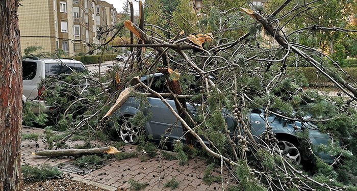 El temporal de viento se intensifica y un árbol cae sobre un coche en la Fuente del Oro