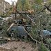 El temporal de viento se intensifica y un árbol cae sobre un coche en la Fuente del Oro