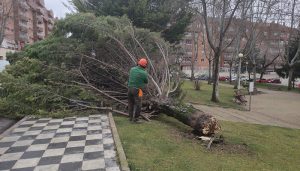 El viento causa varias incidencias en Cuenca
