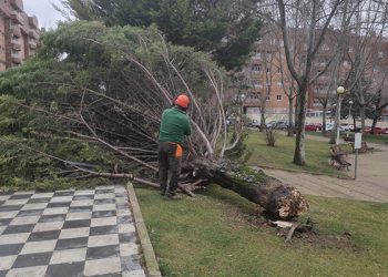 El Ayuntamiento de Cuenca cierra los parques ante los fuertos vientos y pide precaución a la ciudadanía