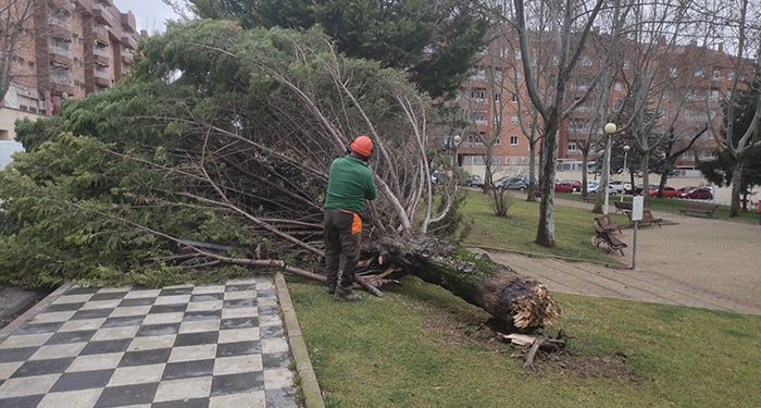 El viento causa varias incidencias en Cuenca