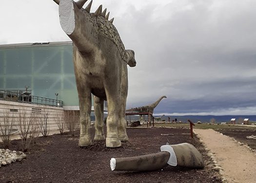 Reabierta al tráfico la CM 2105 desde el kilómetro 5,700 hasta Cuenca tras la retirada de los árboles caídos