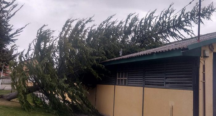 Reabierta al tráfico la CM 2105 desde el kilómetro 5,700 hasta Cuenca tras la retirada de los árboles caídos