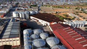 La Cooperativa San Isidro en Quintanar del Rey rechaza la instalación de una macrogranja a 300 metros del pozo de abastecimiento del municipio