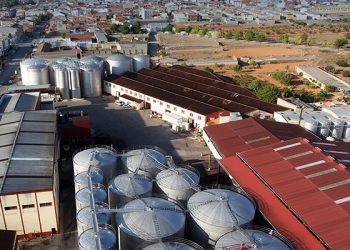 La Cooperativa San Isidro en Quintanar del Rey rechaza la instalación de una macrogranja a 300 metros del pozo de abastecimiento del municipio