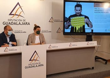 La Diputación de Guadalajara promocionará la Miel de la Alcarria en Madrid Fusión