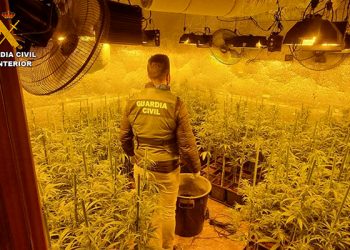 La Guardia Civil desarticula en Barajas de Melo un grupo criminal con más de 3.500 plantas de marihuana