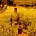 La Guardia Civil desarticula en Barajas de Melo un grupo criminal con más de 3.500 plantas de marihuana 3 La Guardia Civil desarticula en Barajas de Melo un grupo criminal con más de 3.500 plantas de marihuana
