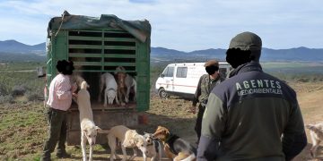 La Junta no ha tenido en cuenta ni una sola de las alegaciones realizadas por los Agentes Medioambientales de CCOO-FSC al Reglamento de la Ley de Caza