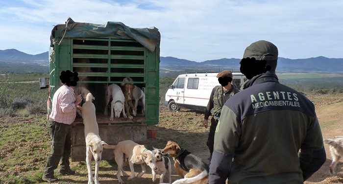 La Junta no ha tenido en cuenta ni una sola de las alegaciones realizadas por los Agentes Medioambientales de CCOO-FSC al Reglamento de la Ley de Caza