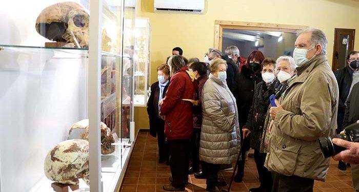 la sala de la evolucion humana del cipat nuevo atractivo turistico y cultural de la comarca del ocejon 1