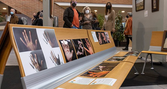 La UNED de Guadalajara ofrece una exposición artística con obras de su alumnado dentro de los actos de celebración de sus 50 años de historia