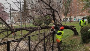 Los Bomberos de Cuenca continúan atendiendo incidencias relacionadas con el temporal