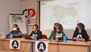 Nace la plataforma ALIENTE en Guadalajara ante la avalancha de proyectos de energías renovables a gran escala en la provincia