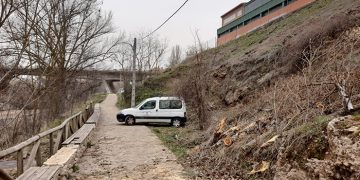 Recogida de árboles caídos, chapas y tejas, apuntalamientos y limpieza general, tareas tras el paso de la borrasca Celia en Cuenca