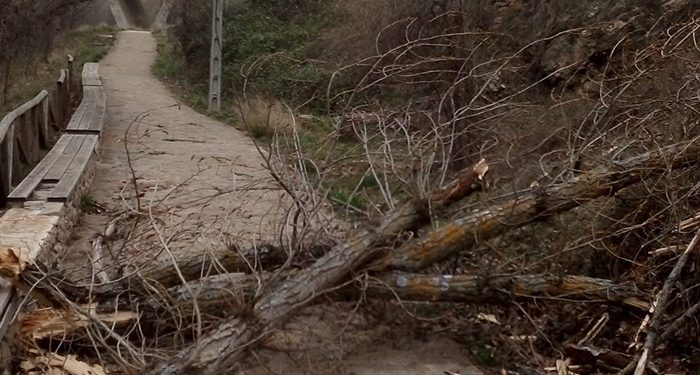 Recogida de árboles caídos, chapas y tejas, apuntalamientos y limpieza general, tareas tras el paso de la borrasca Celia en Cuenca