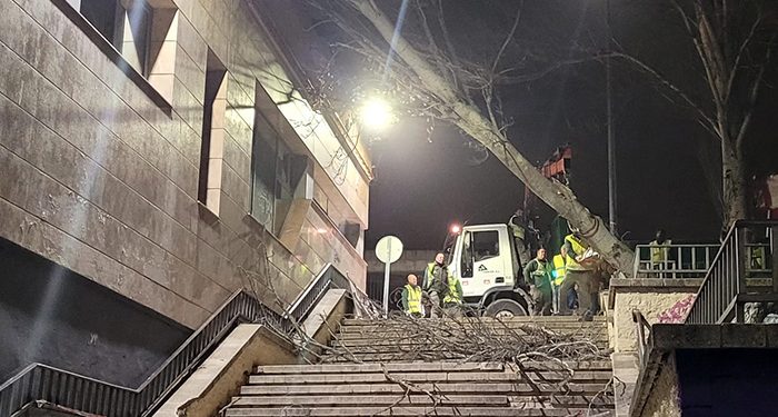 Recogida de árboles caídos, chapas y tejas, apuntalamientos y limpieza general, tareas tras el paso de la borrasca Celia en Cuenca