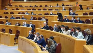 Vega reivindica en el Senado la misma fiscalidad y leyes para las zonas rurales de Guadalajara que tienen Cuenca, Teruel y Soria