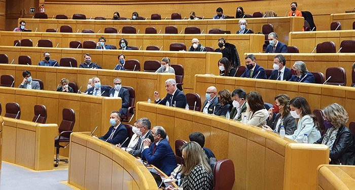 Vega reivindica en el Senado la misma fiscalidad y leyes para las zonas rurales de Guadalajara que tienen Cuenca, Teruel y Soria