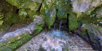 ¡Mira qué vídeo! Día Mundial del Agua