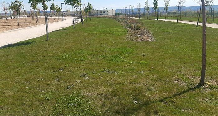 Arranca en Cabanillas la campaña de desbroces y siegas en parcelas municipales y zonas verdes