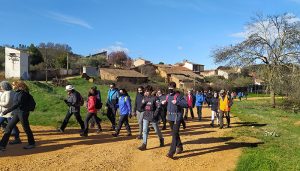 Campiñeando vuelve a las andadas con una ruta entre Matarrubia y Malaguilla y casi 170 participantes