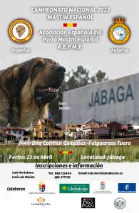 cartel generico monograficas aepme copia