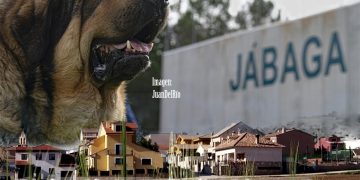 Este sábado, VIII Concurso Nacional de Mastines en Jábaga