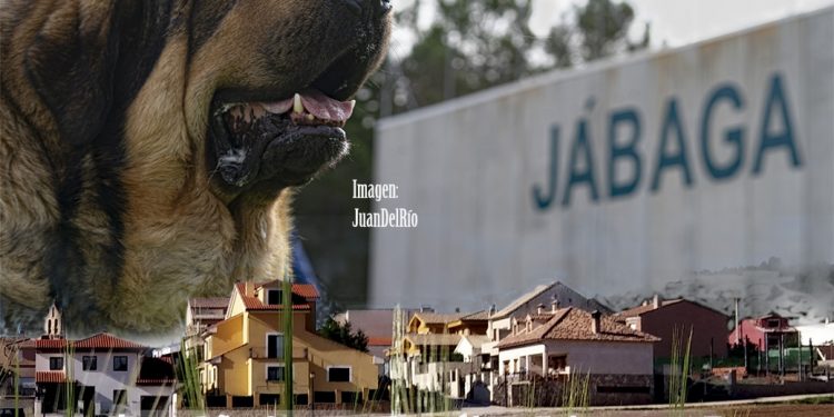 cartel generico monograficas aepme copia